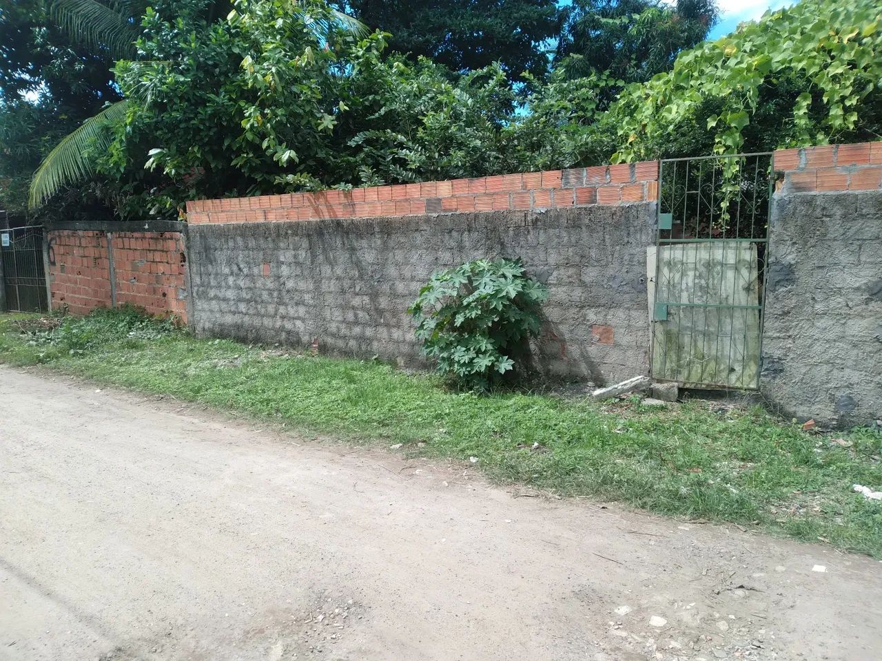 Terreno - Foto 3