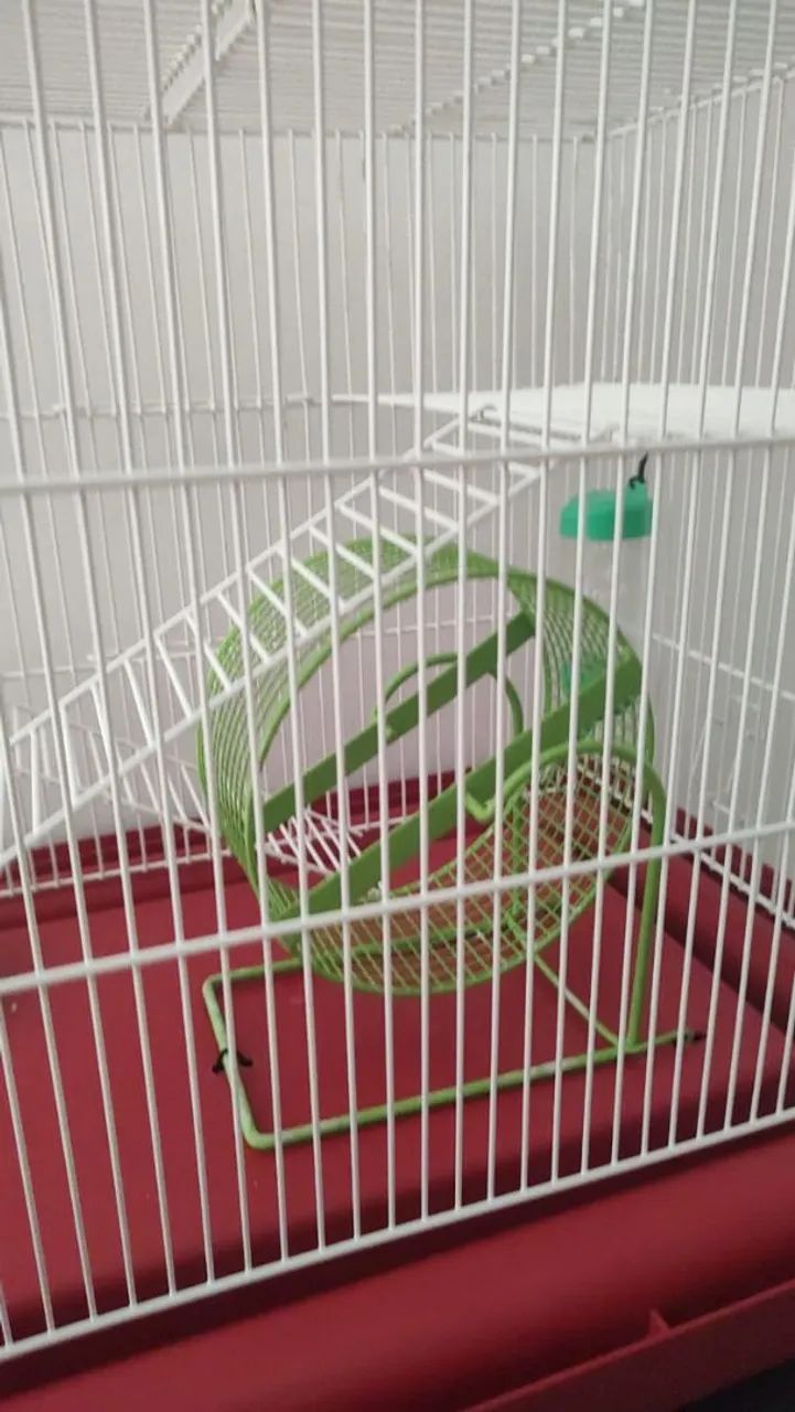 Gaiola hamster - Foto 3