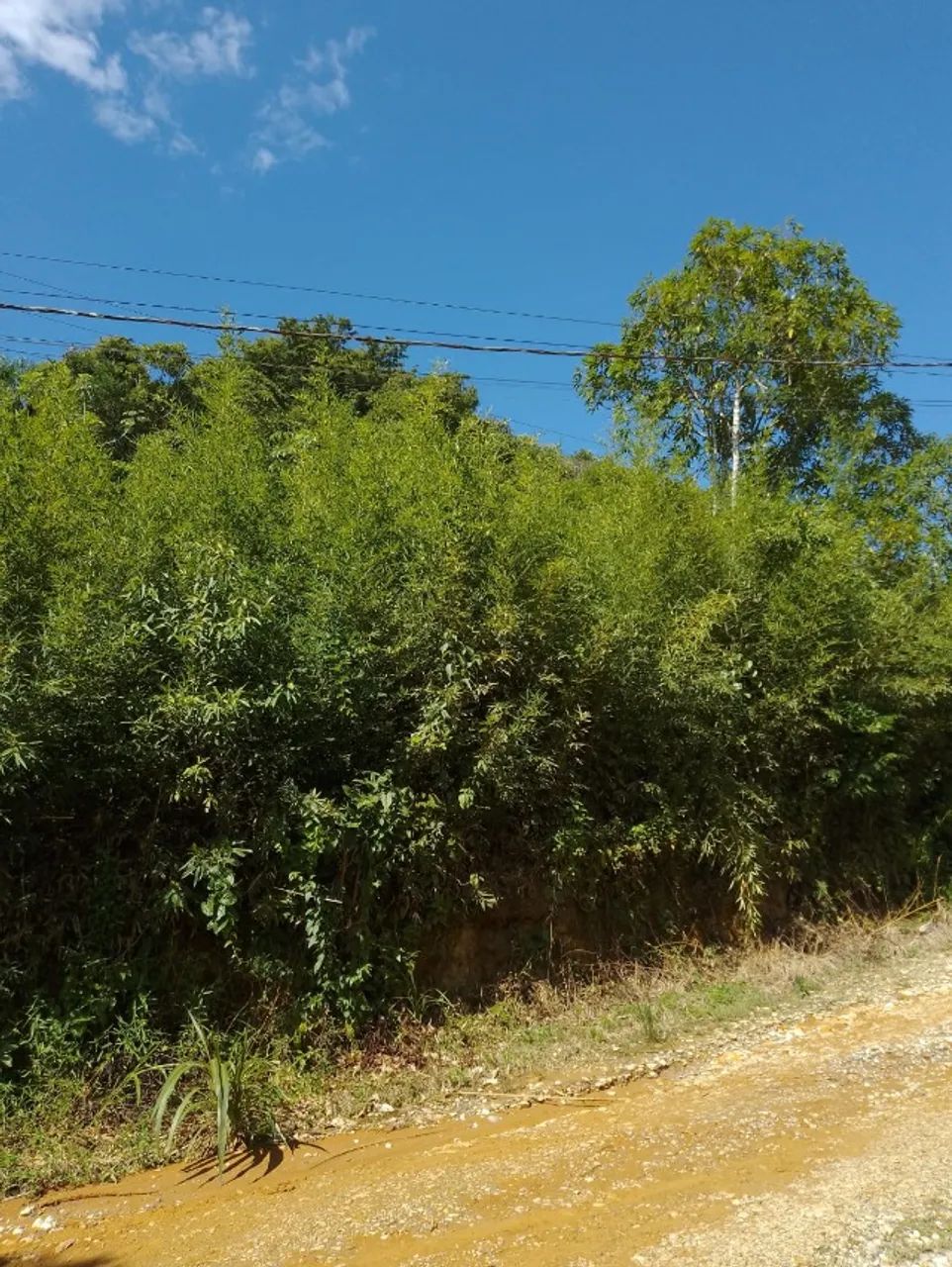 Foto - Registro - 