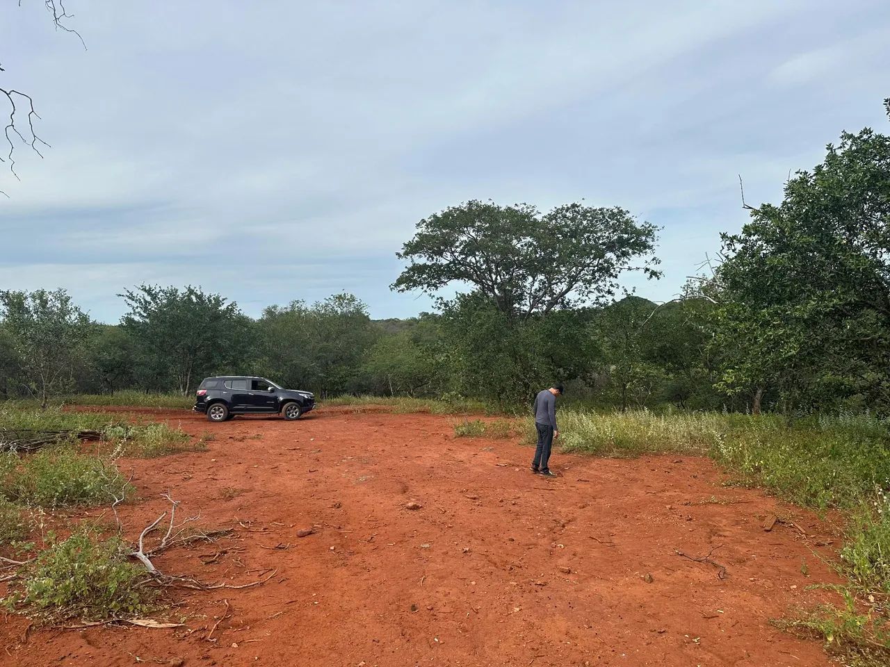 Terras com 333ha. em Dirceu Arcoverde-PI - Foto 4
