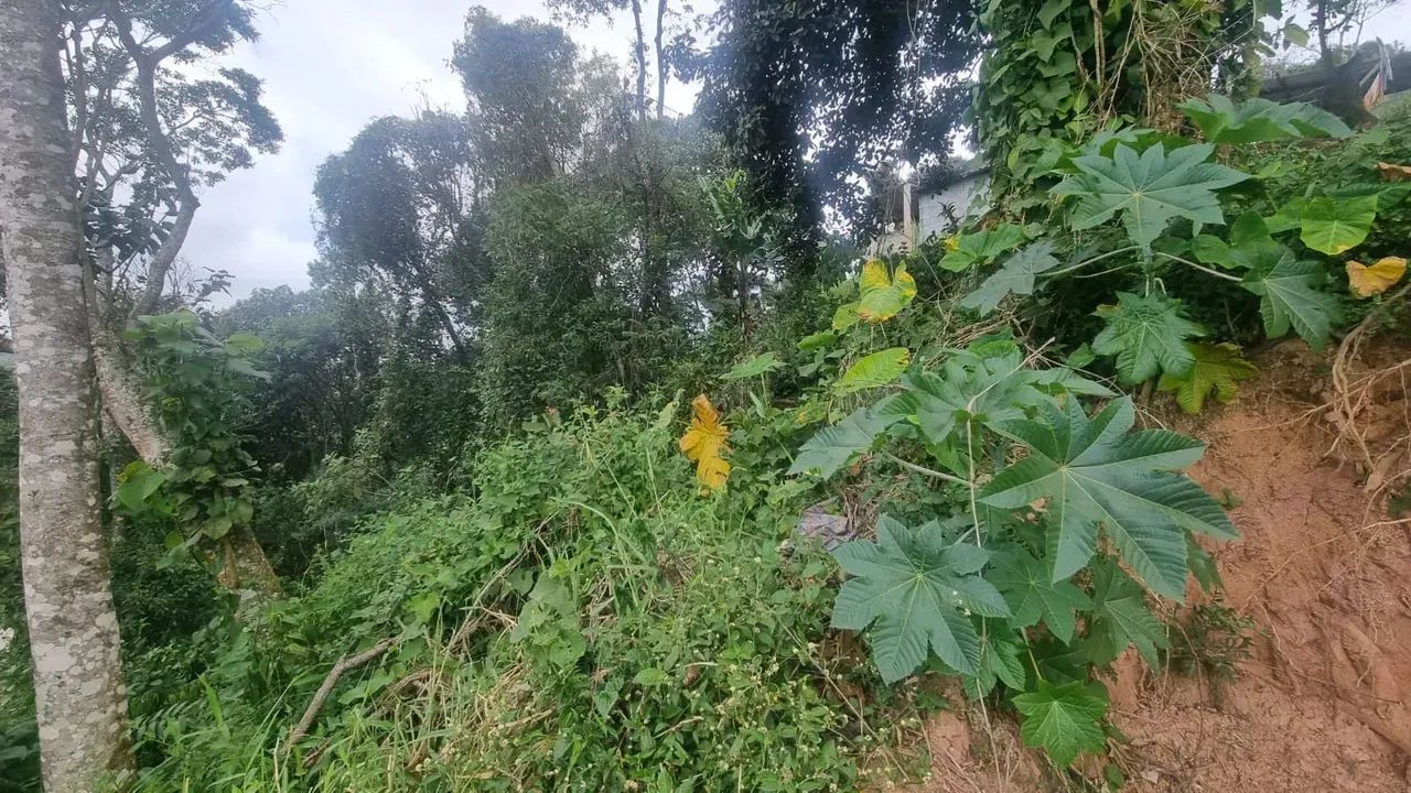 Excelente terreno a venda. - Foto 2