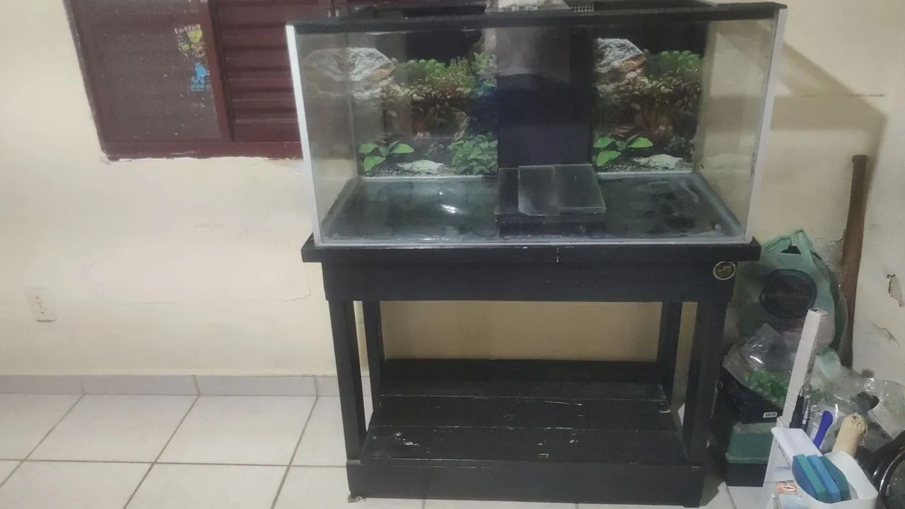 AQUÁRIO GRANDE COMPLETO COM ACESSÓRIOS  - Foto 5
