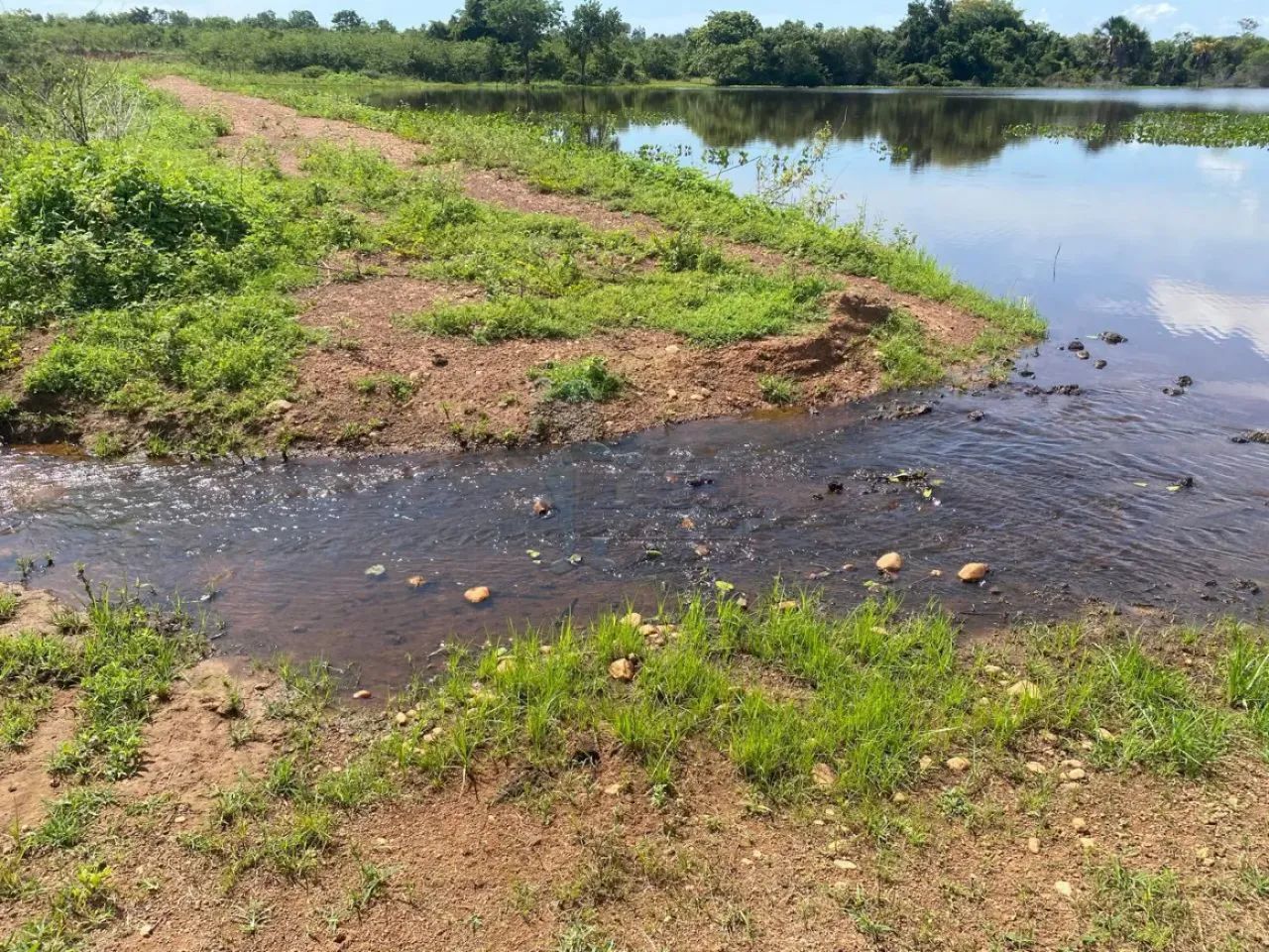 Fazenda 740,5 hectare à venda - Talismã-TO - Foto 5