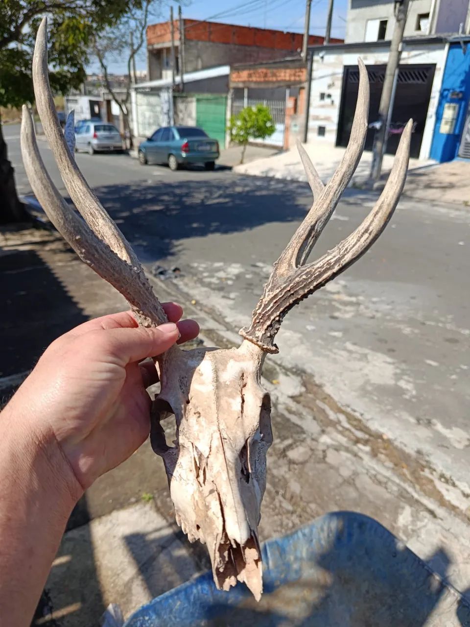 Item para decoração 
