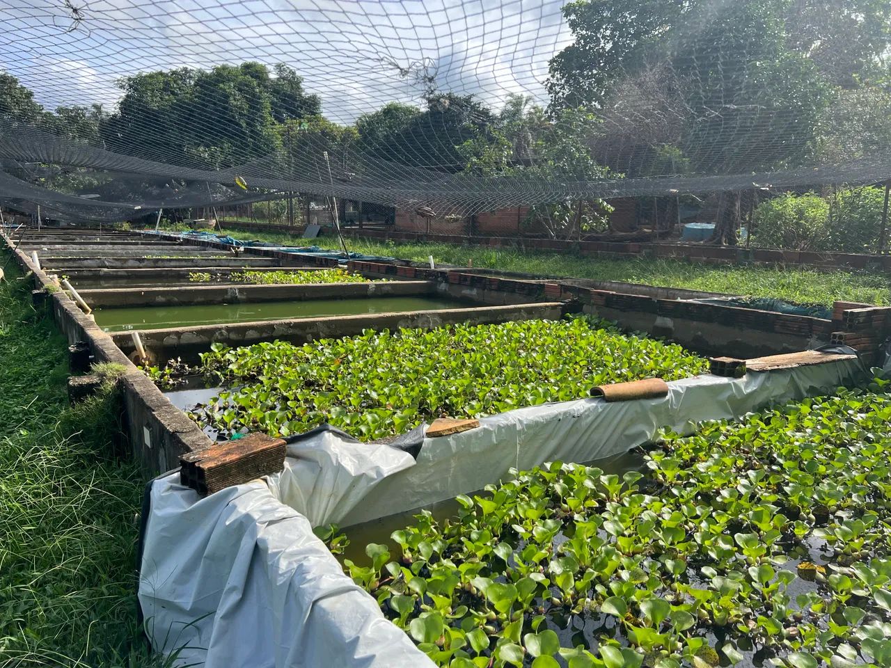 Chácara em Goiânia  - Foto 3