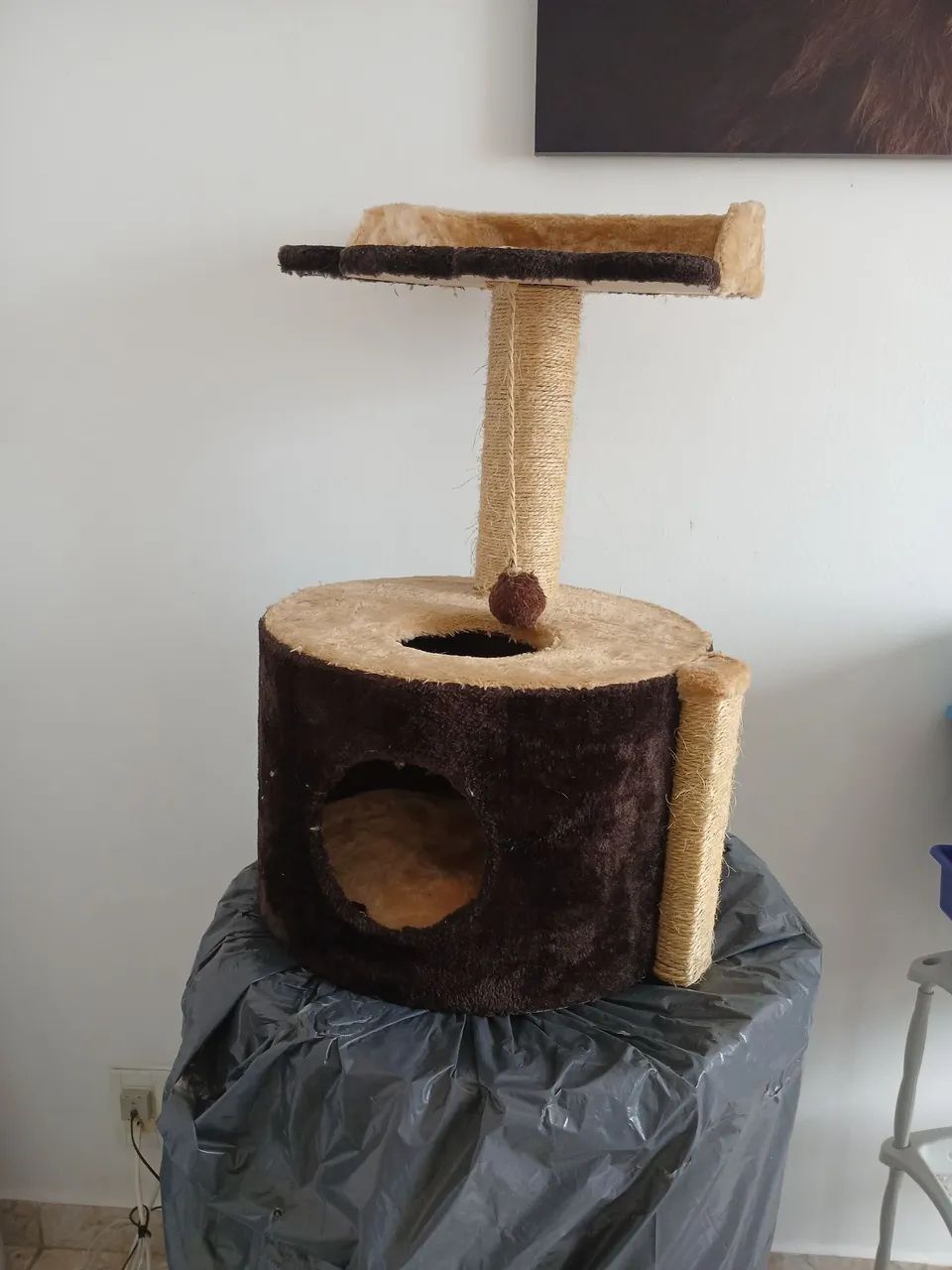 Casa de gatos em perfeito estado