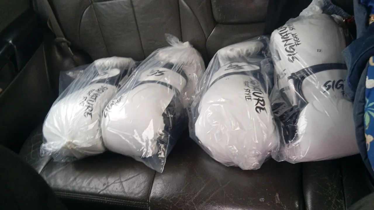 Luva de MUAY THAI 