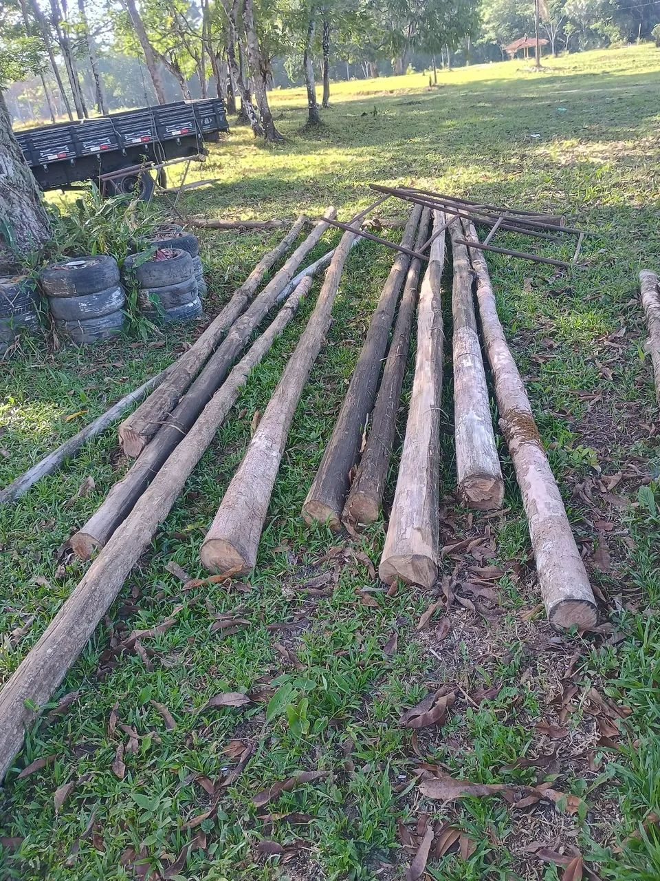 Madeira Lisa de Lei ( Avenida ) - Foto 6