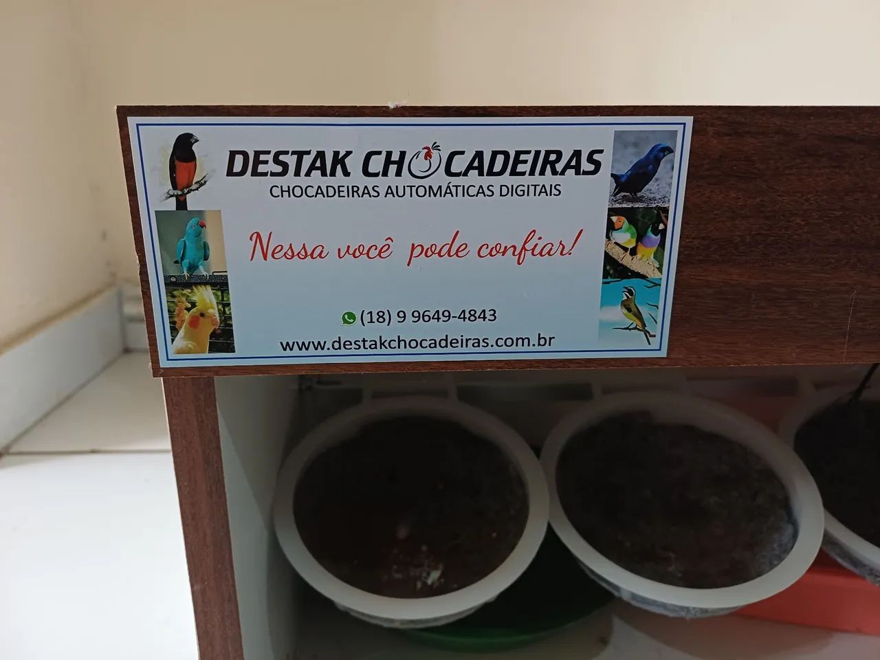 Vendo chocadeira  - Foto 3