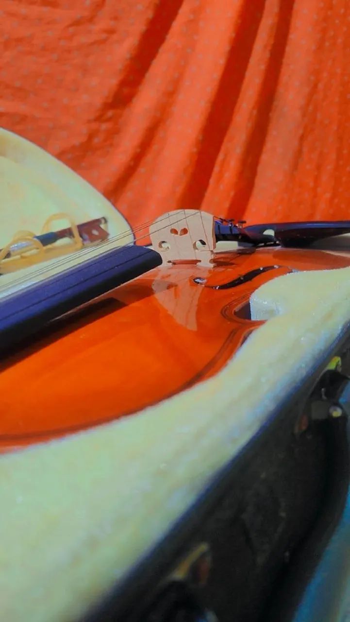 ? violino  - Foto 3
