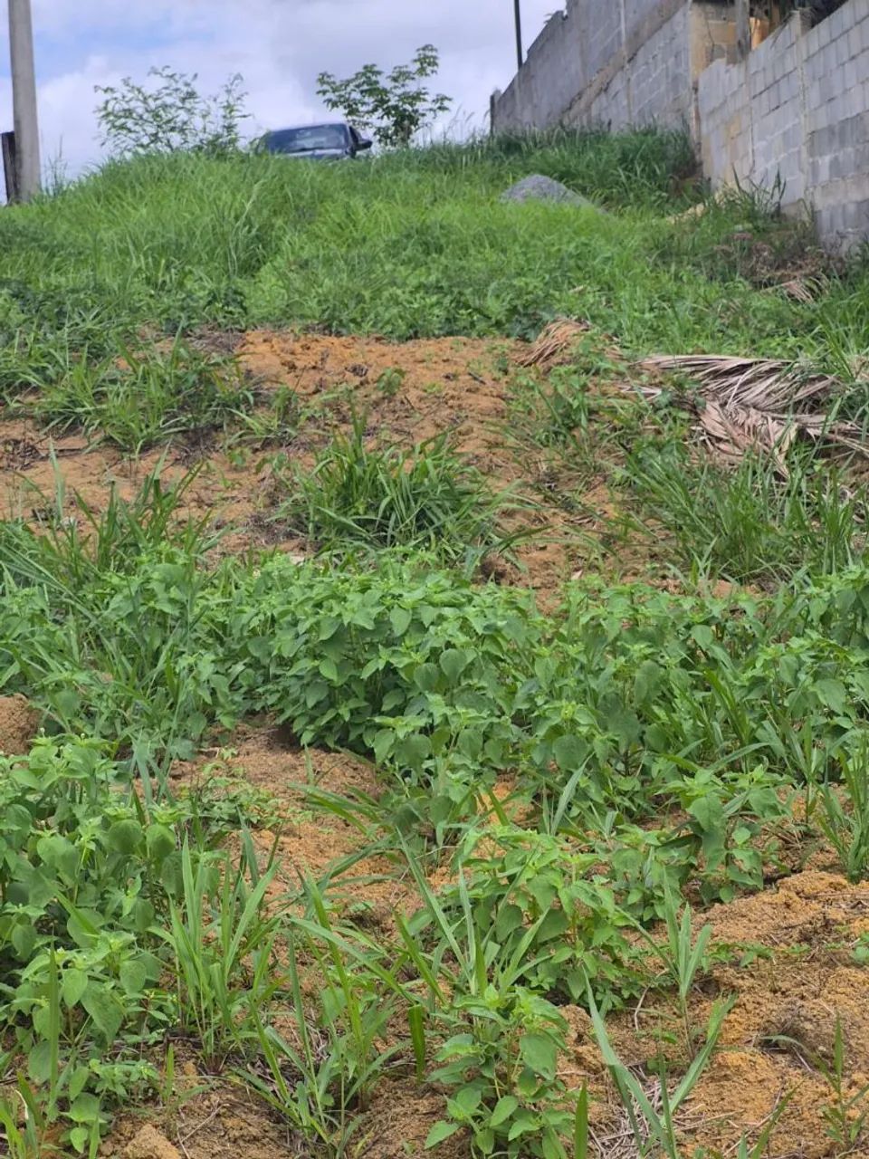 Terreno - Foto 5