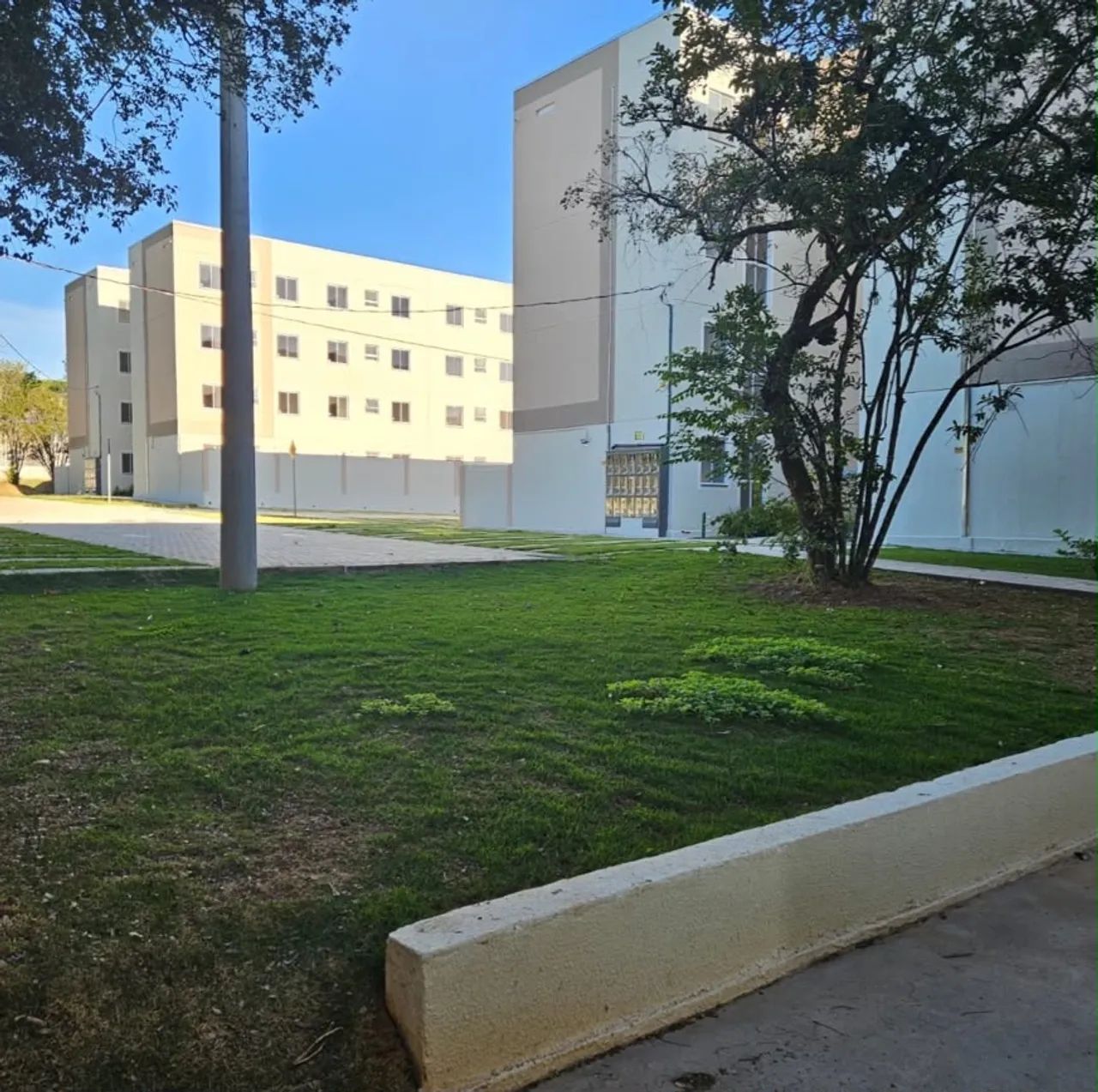Aluguel apartamento - Bairro Europa  - Foto 4