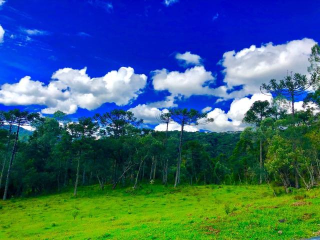 Chácara com cachoeira em Urubici - Foto 5