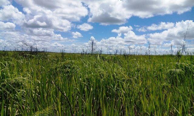 Fazenda 4,167 ha Paranatinga MT