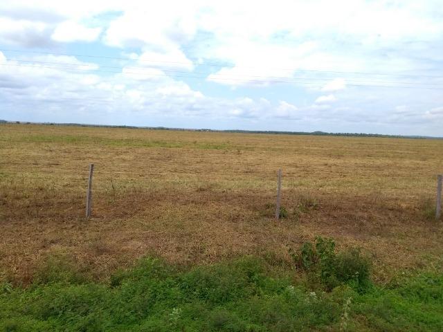 Fazenda 9.900 ha São Felix Do Araguaia - Foto 9