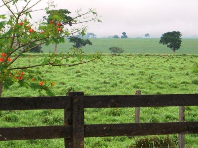 Fazenda 21.100 ha Diamantino MT - Foto 3