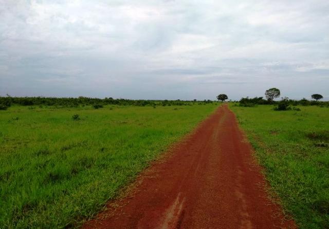 Fazenda 9.900 ha São Felix Do Araguaia
