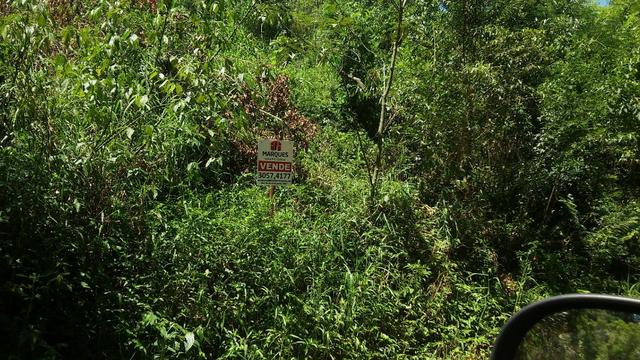 Chácara c/1,3 ha, Morro dos Barretos - Montenegro - 96 - Foto 2