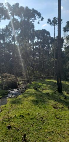 Sítio em Urubici/área rural /casa em Urubici - Foto 13