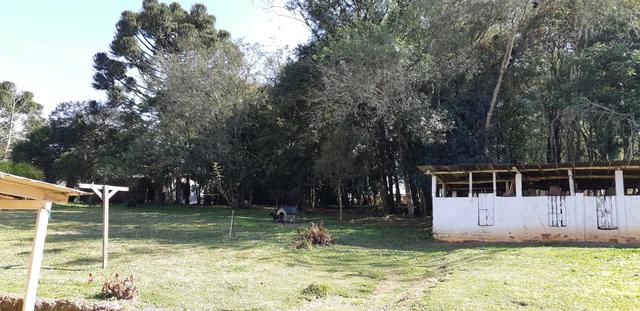 Vendo ou Troco Chácara em Contenda - 3.600 m2 - Foto 5