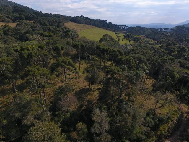Sítio em Urubici/área rural /casa em Urubici - Foto 7