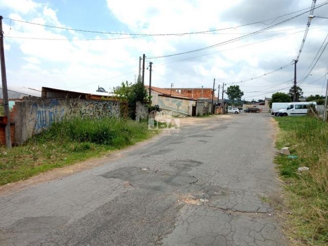 Terreno à venda em Borda do campo, São josé dos pinhais cod:11546.001 - Foto 9