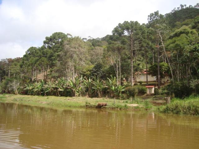 Sitio em Nova Friburgo com 30.000 m². Unico e Vivo - Foto 2
