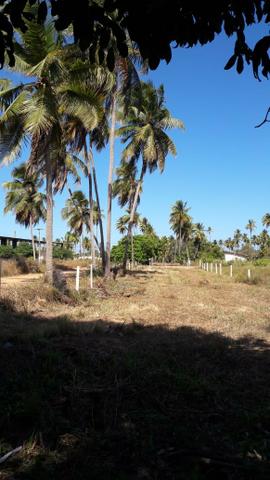 Patacho, venha morar ou ter um negocio em uma das praias mais belas do país. - Foto 11