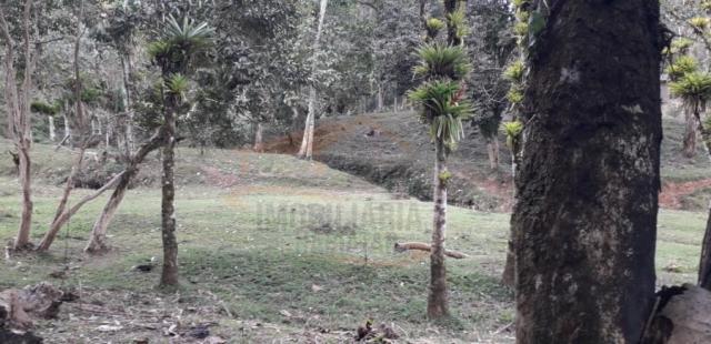 Chácara para venda, barra da cruz - Foto 14