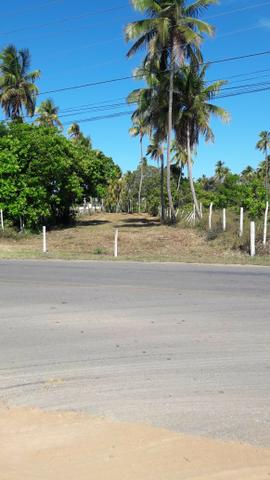 Patacho, venha morar ou ter um negocio em uma das praias mais belas do país. - Foto 8