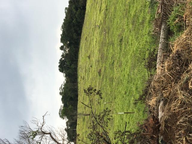 GE compre seu terreno plano para final do ano por apenas: R$10.000 de entrada 1000m2. - Foto 5