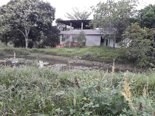 Jordão Corretores - Ótimo Sítio em Cachoeiras de Macacu - Foto 15
