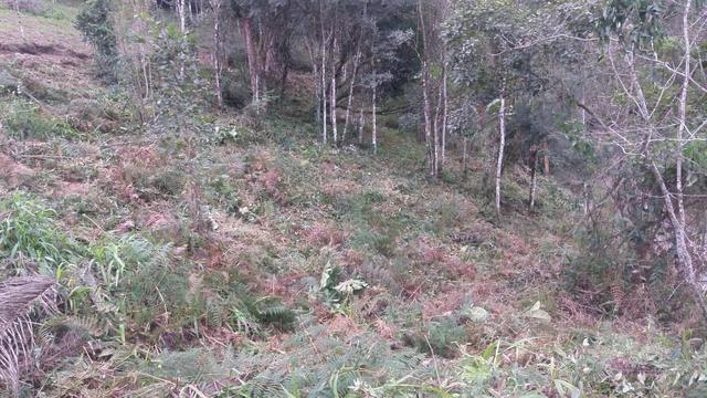 Terreno parcelado alto gasparinho - leia o anúncio - Foto 14