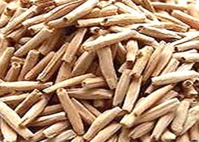 Sementes de Rosa do Deserto (200 Un)