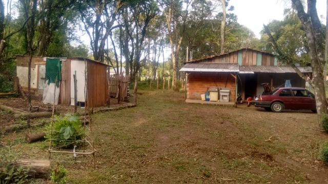 Chácara em São Mateus do Sul - Foto 10