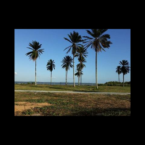Casas de praia, Lotes para construção costa de Itapema - Foto 17