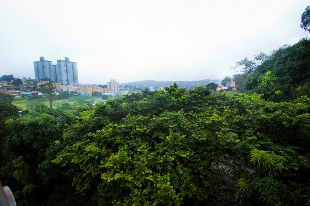 Lindo apartamento reformado 3 qts Palmeiras / Cinquentenário 70 m² - Foto 19