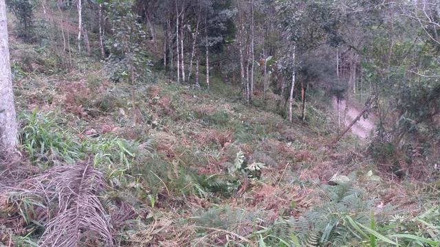 Terreno parcelado alto gasparinho - leia o anúncio - Foto 6
