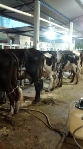 Venda-se ou troco está propriedade de 8.7 alqueires Município cachoeiro Itapemirim/ES - Foto 10