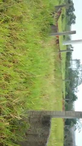Terreno no pov.Quebrada do lado do Park timbo!