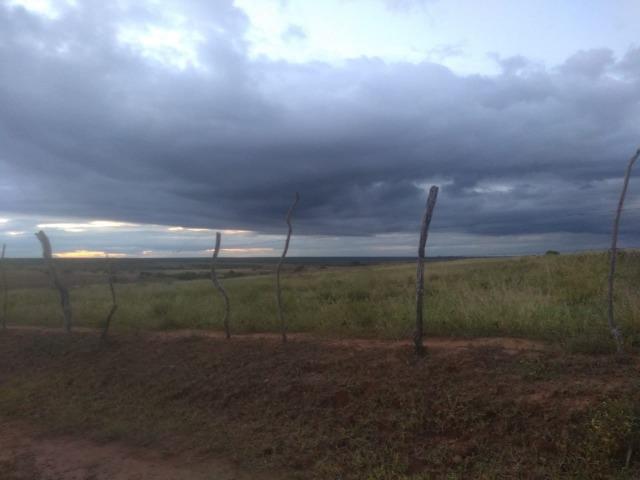 Fazenda