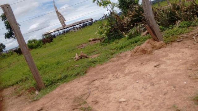 Vendo Fazenda com 1.523 Hectares na região do Manso - Foto 7