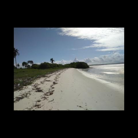 Casas de praia, Lotes para construção costa de Itapema - Foto 9