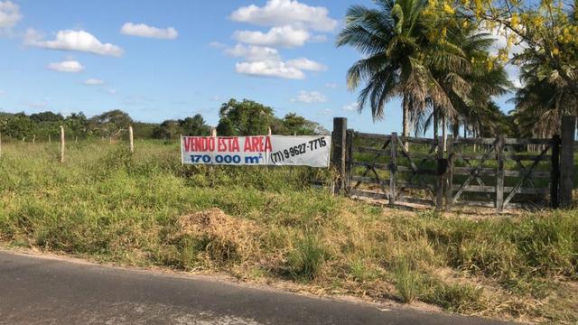 Vendo propriedade em Alagoinhas/Ba