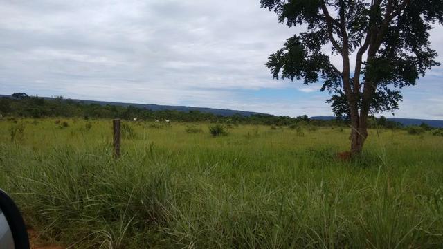 Vendo Fazenda com 1.523 Hectares na região do Manso - Foto 2