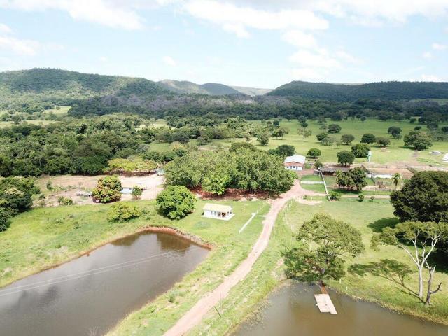 Fazenda dupla aptidão Arinos MG - Foto 3
