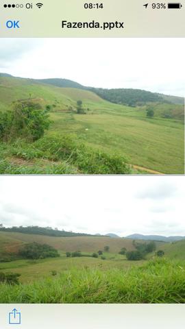 Venda-se está fazenda de 323 Alqueires no Estado de minas Gerais/MG - Foto 4