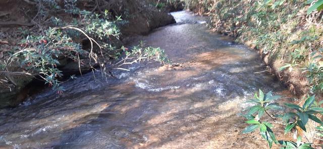 São 2 hectares com nascente nos fundos em chapada dos Guimarães - Foto 2