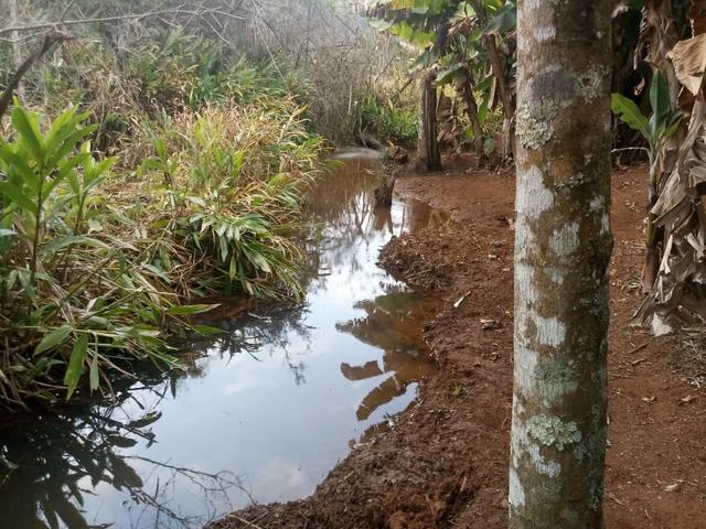 Sitio com agua em Claudio MG - Foto 19