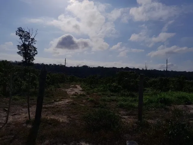 A.Moura Gestor Imobiliário-Fazenda à Venda 100kms de Santarém, com 750hectares, Santarém